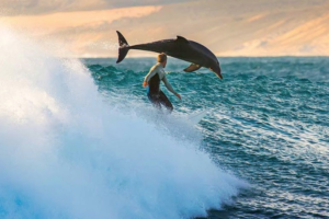 Surfing Santa Barbara