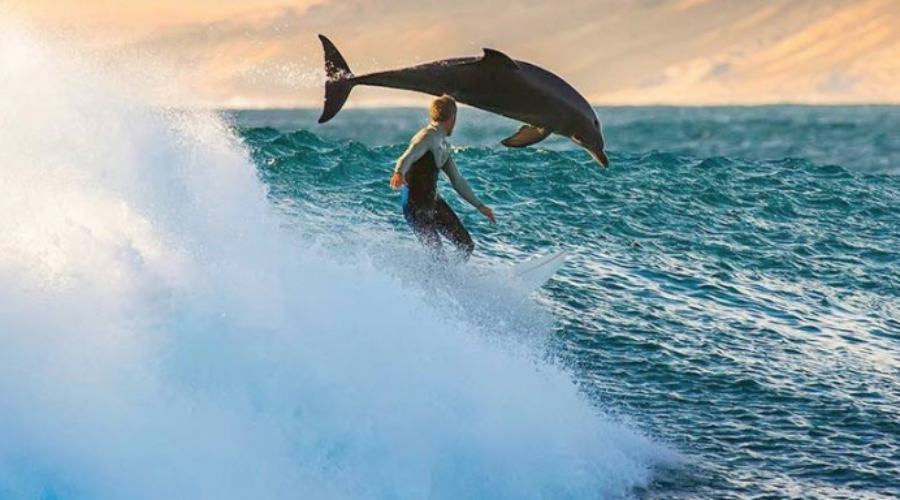 Surfing Santa Barbara