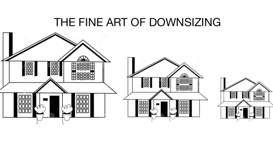 The Art of Downsizing