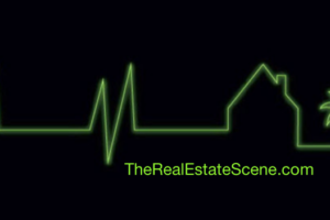 The Real Estate Scene